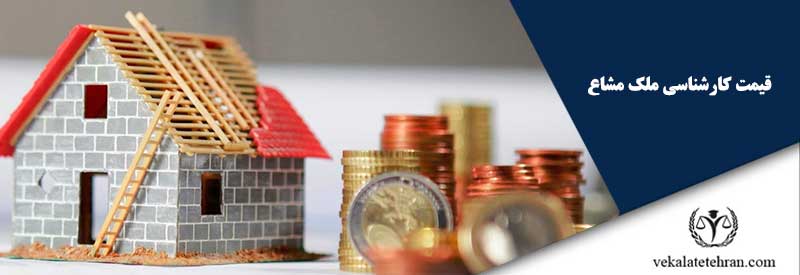 قیمت کارشناسی ملک مشاع