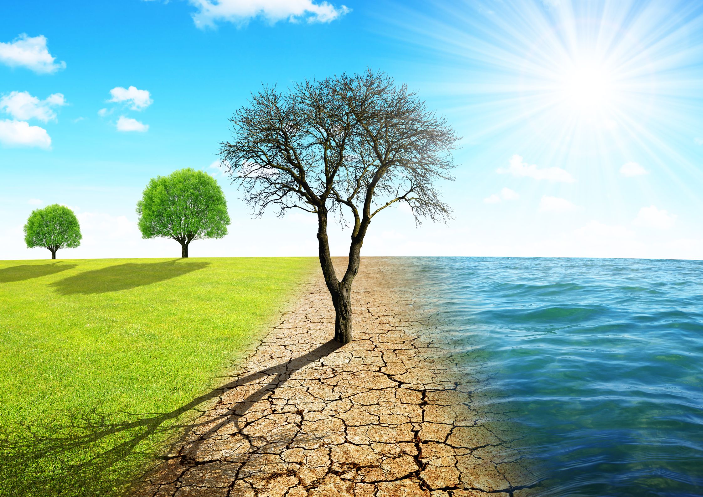 وکیل تغییر کاربری اراضی 